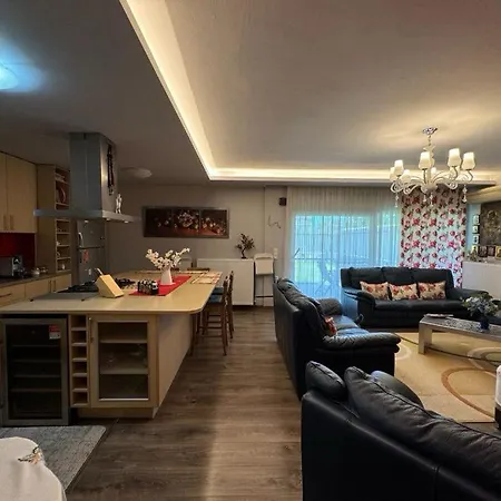 Anca شقة PalaiónTsiflíkion