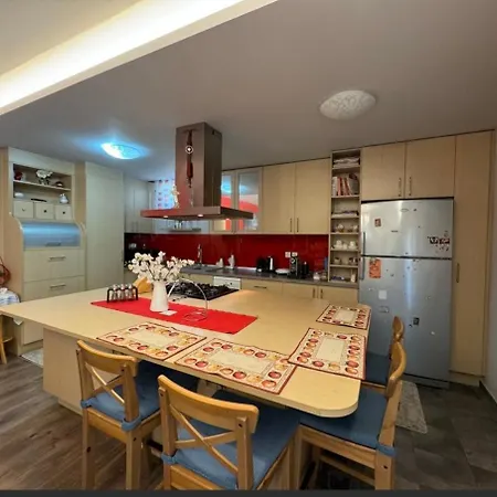 Anca PalaiónTsiflíkion